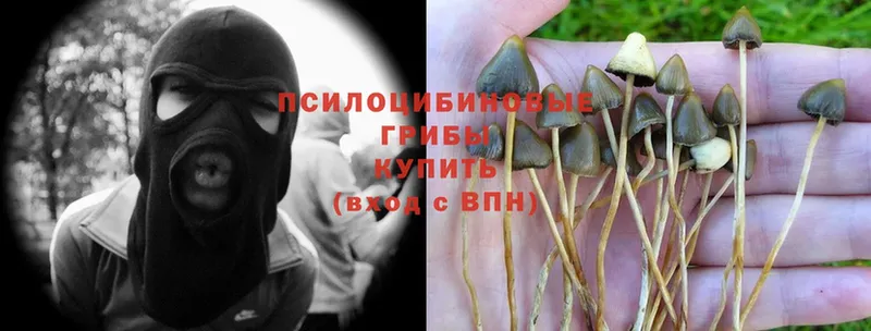 Галлюциногенные грибы Magic Shrooms  Зима 